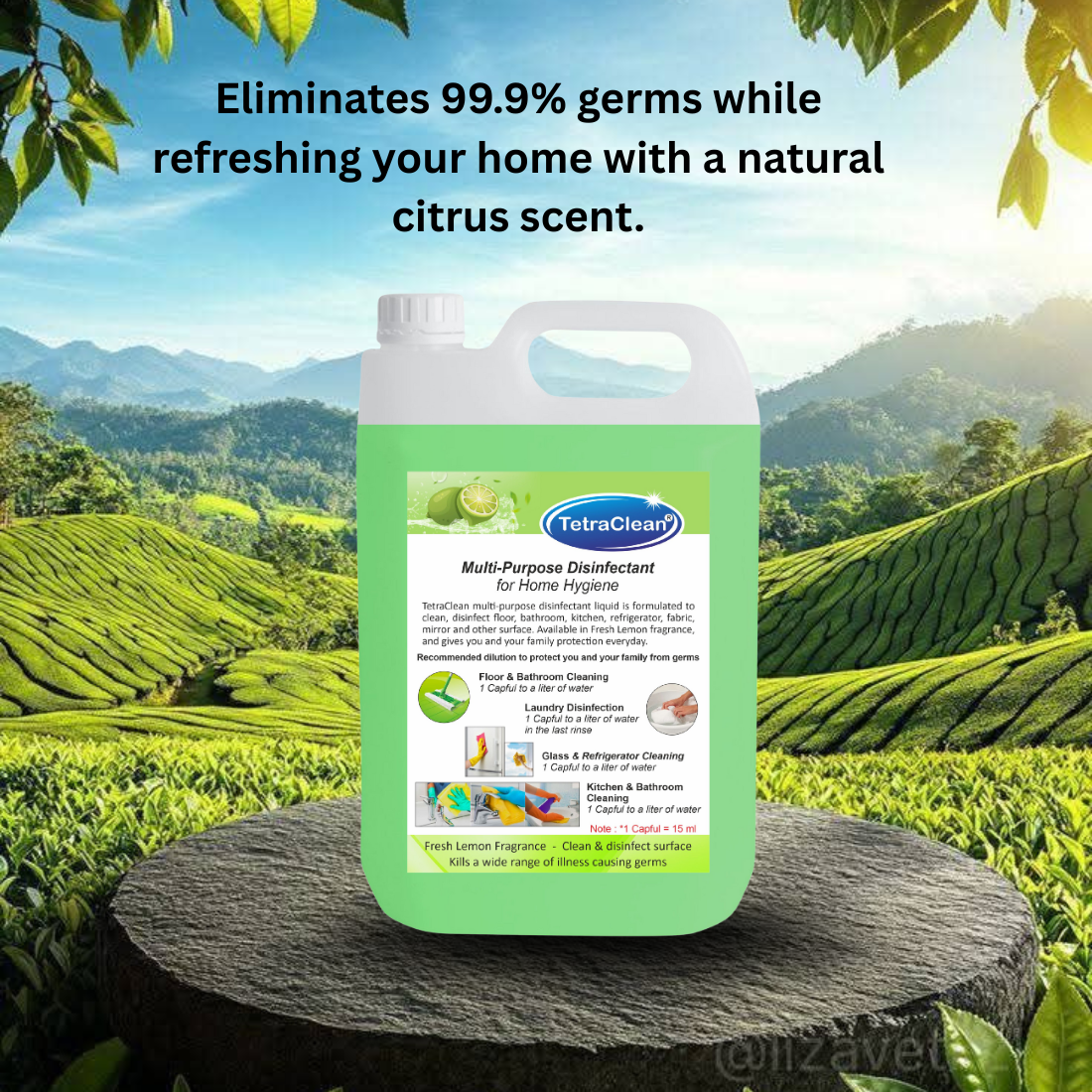 TetraClean Multi‑Purpose Disinfectant – Fresh Lemon 5Ltr