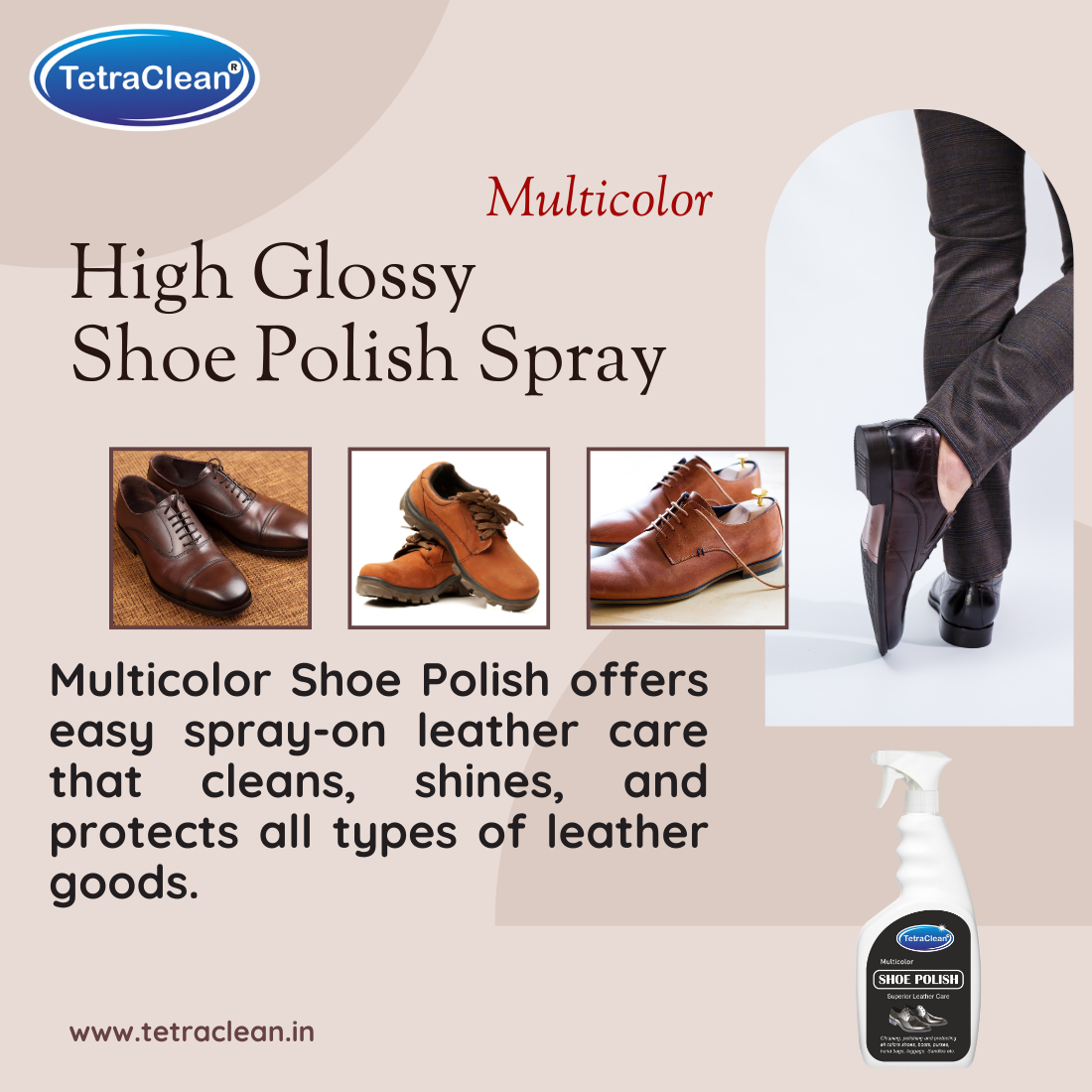 TetraClean Premium Shoe Polish Spray – Instant Shine & Superior Leather Protection 500ml